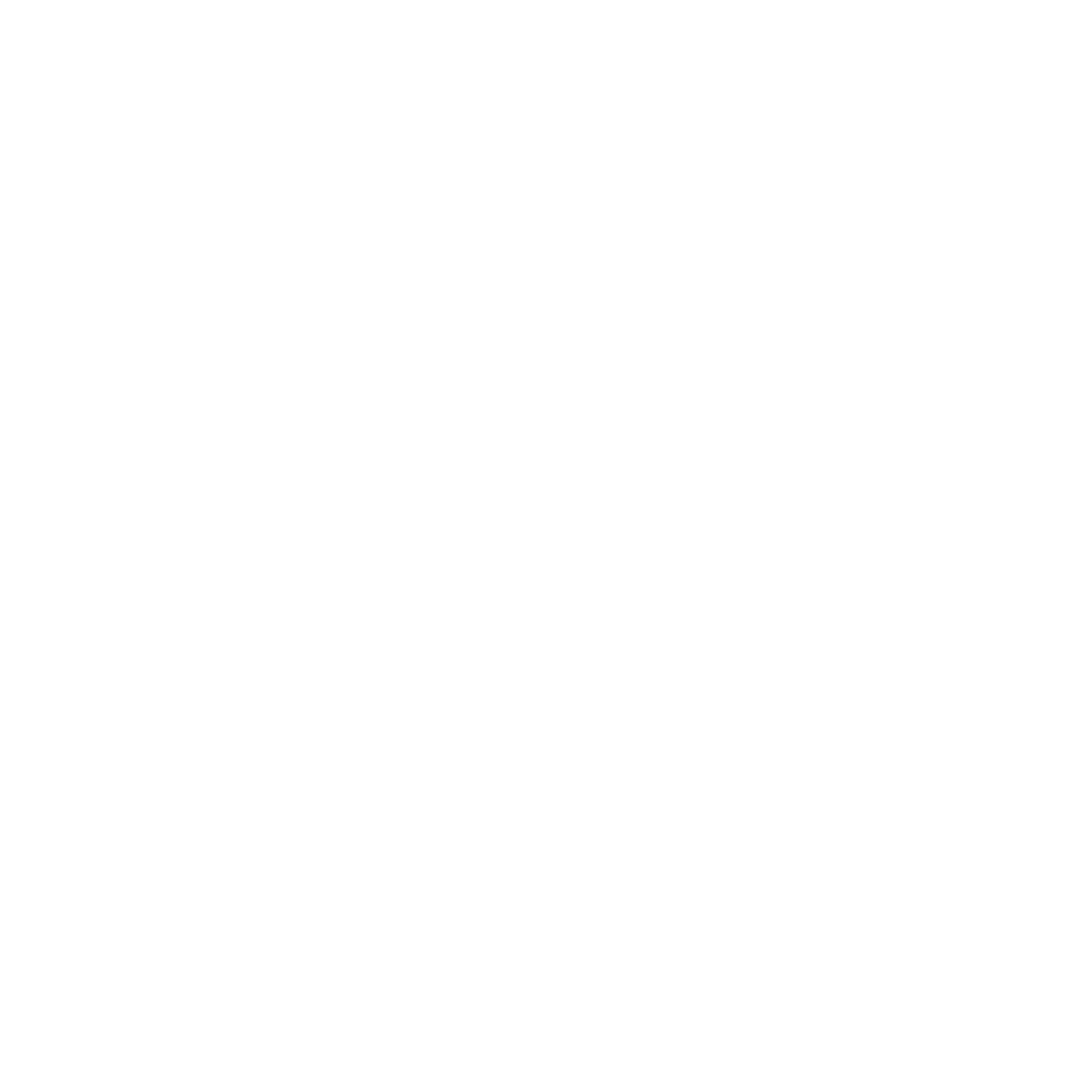 Nulltra Logo